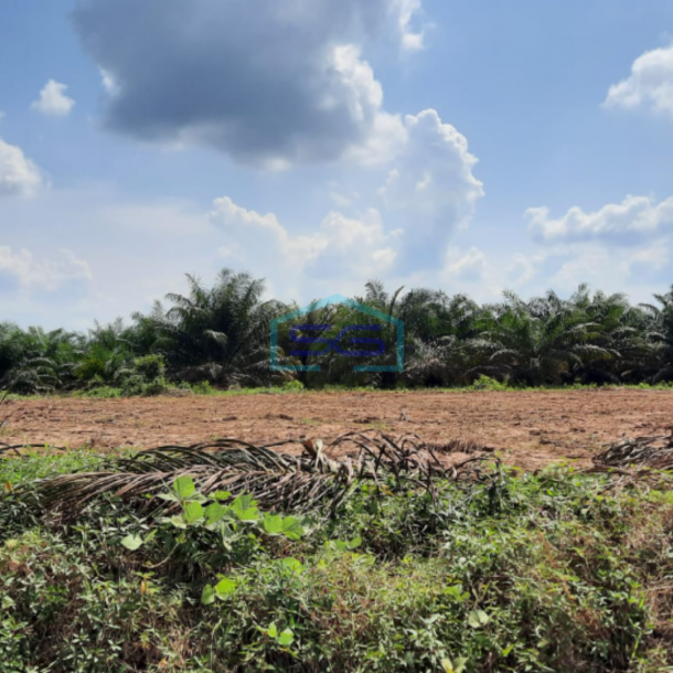 Dijual Tanah Siap Bangun Eks Lahan Kebun Sawit Area Sembawa Banyuasin Sumatera Selatan-2