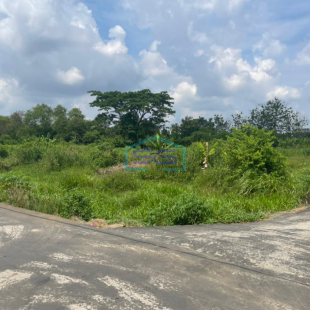 Dijual Tanah Jalan Talang Jambi Palembang Sumatera Selatan LT 7773m2-3