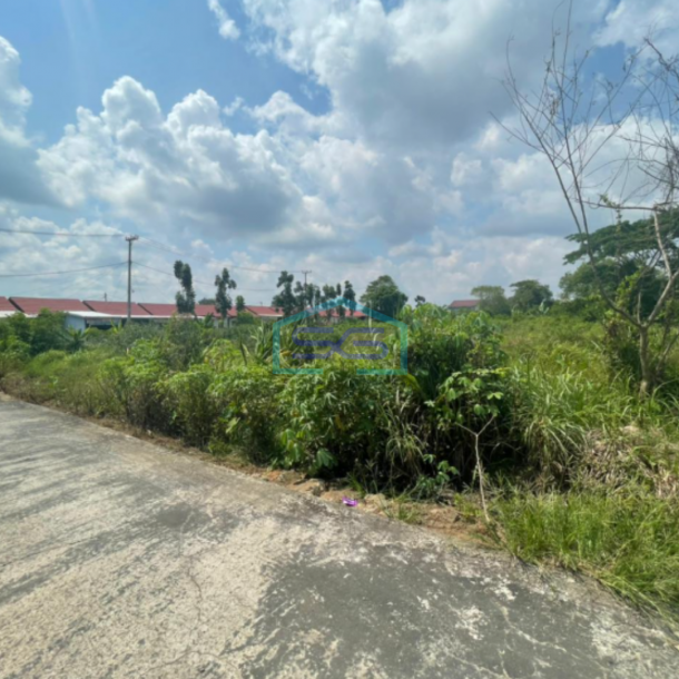 Dijual Tanah Jalan Talang Jambi Palembang Sumatera Selatan LT 7773m2-2