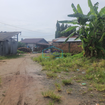 Dijual Tanah Jalan Putri Rambut Selako Bukit Palembang Luas Tanah 1300m2