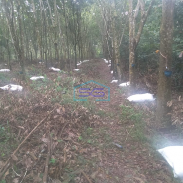 Dijual Murah Tanah Luas 13060m2 Siap Bangun Lokasi Payabakung Indralaya Palembang-3