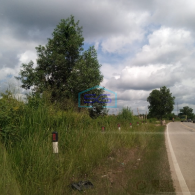 Dijual Tanah 13 Ha Pinggir Jalan Tanjung Api Api Talang Kelapa Gasing Banyuasin Sumatera Selatan