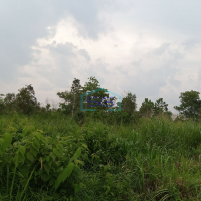 Dijual Tanah 13 Ha Pinggir Jalan Tanjung Api Api Talang Kelapa Gasing Banyuasin Sumatera Selatan