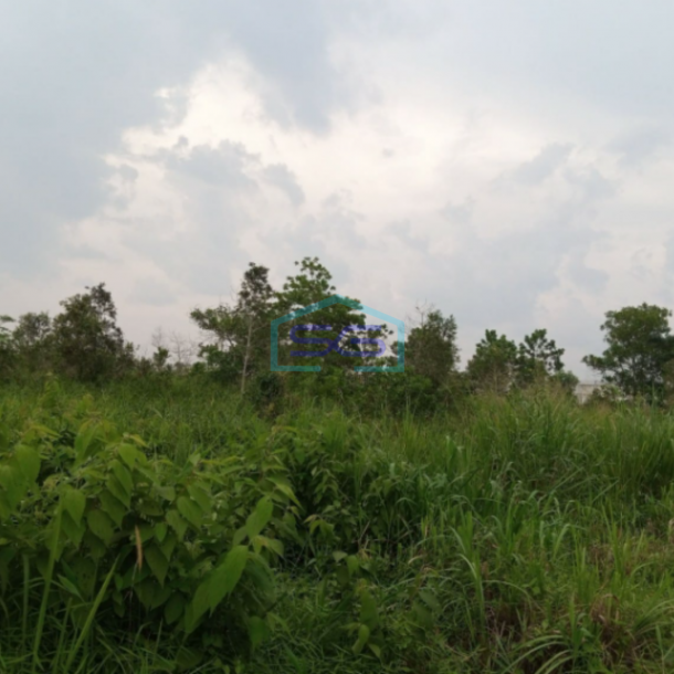 Dijual Tanah 13 Ha Pinggir Jalan Tanjung Api Api Talang Kelapa Gasing Banyuasin Sumatera Selatan-1