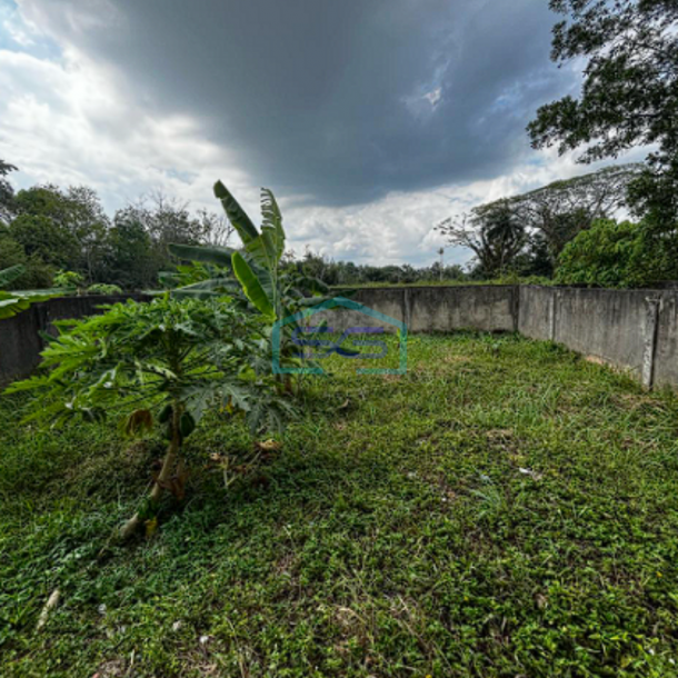 Disewakan 3 Unit Ruko di KM 16 Palembang Betung Luas Bangunan 468m2-2