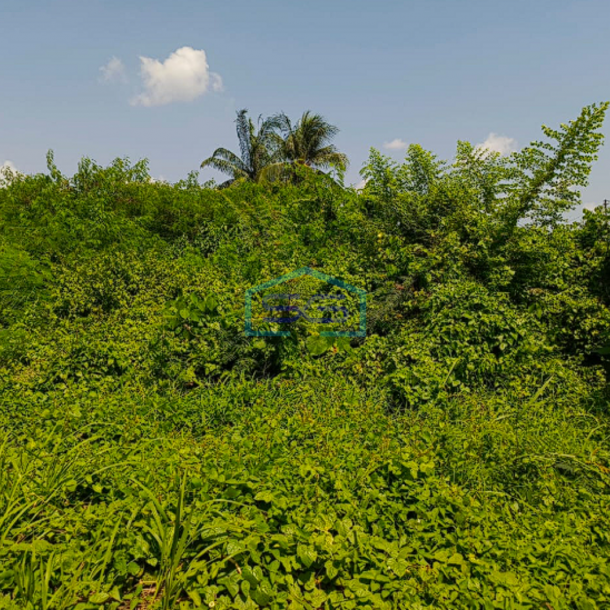 Dijual Tanah di Kec Alang Alang Lebar Kota Palembang Luas 4331m2-3