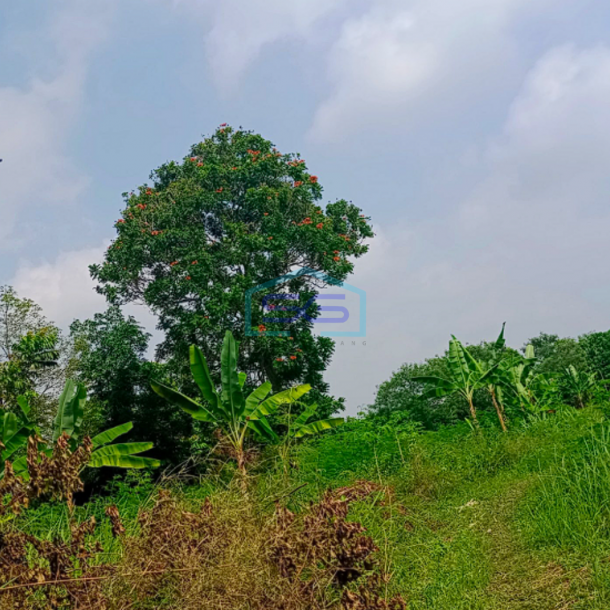 Dijual Tanah Keras Siap Bangun Soak Simpur Sukabangun Palembang Luas 3000m2-2