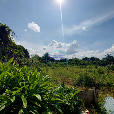 Dijual Tanah di Pinggir Jalan Soekarno Hatta Alang Alang Lebar Palembang LT 10000m2