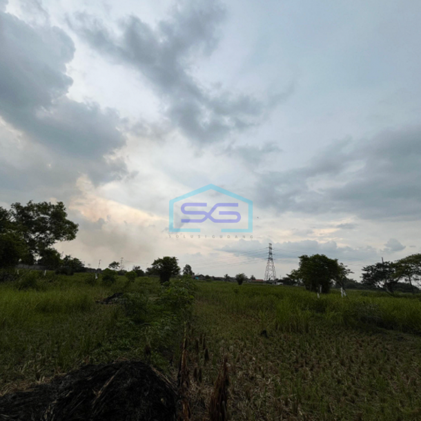 Dijual Tanah Luas 7930 m² di Pinggir Jalan Lintas Palembang Indralaya, dekat Terminal Karya Jaya-1