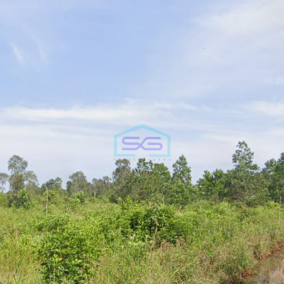 Dijual Tanah Luas 40.000 m² Tanah Subur di Kawasan Berkembang Mariana, Banyuasin Sumatera Selatan