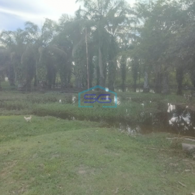 Dijual Tanah Luas 6,4 Ha di Bukit Baru Palembang Akses Dekat Tol