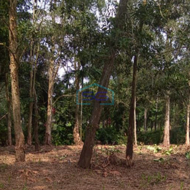 Dijual Tanah Murah di Jalan Pesona Sematang Borang Palembang LT 1100m2-1