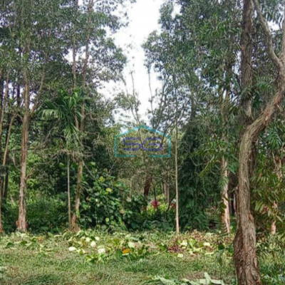 Dijual Tanah Murah di Jalan Pesona Sematang Borang Palembang LT 1100m2