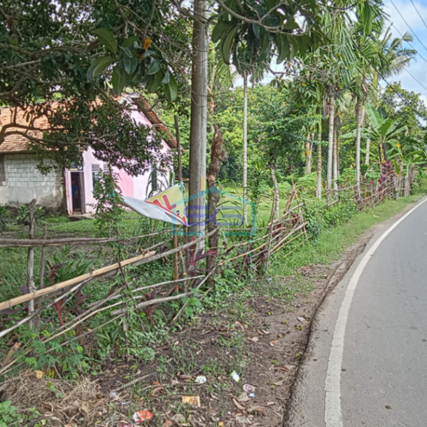 Dijual Tanah Luas 5000m2 di Pinggir Jalan Betawi Kenten Palembang-2