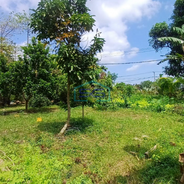 Dijual Lahan Tanah Strategis di Jalan Noerdin Pandji Palembang Luas 4437m2-2