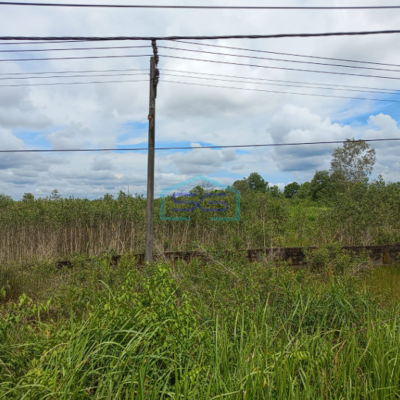 Dijual Tanah Murah Jalan Tanjung Api Api KM 9 Banyuasin Sumatera Selatan Luas 10 Ha