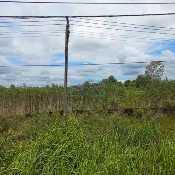 Dijual Tanah Murah Jalan Tanjung Api Api KM 9 Banyuasin Sumatera Selatan Luas 10 Ha-1