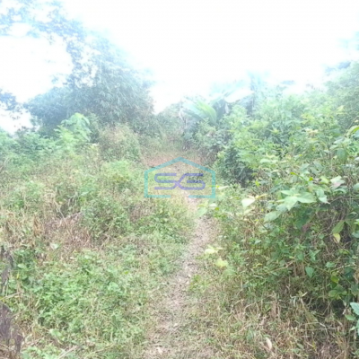 Dijual Tanah Siap Bangun di Sei Selincah Palembang Luas Tanah 24224m2