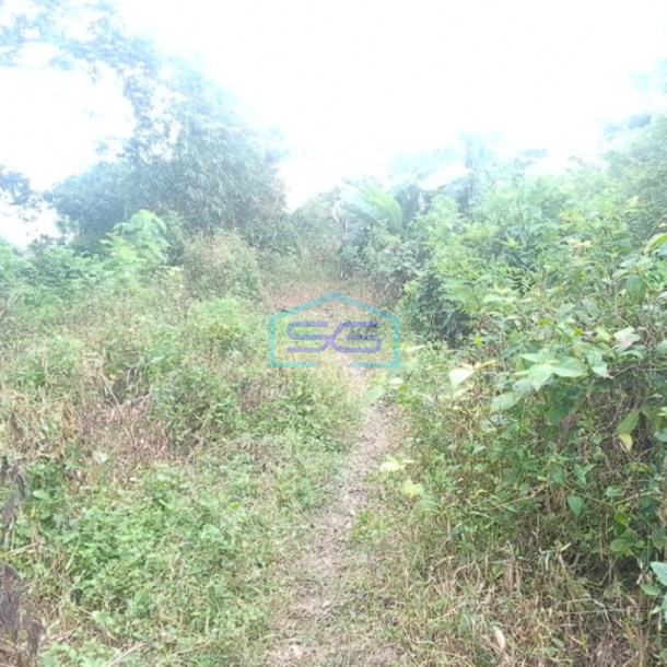 Dijual Tanah Siap Bangun di Sei Selincah Palembang Luas Tanah 24224m2-2