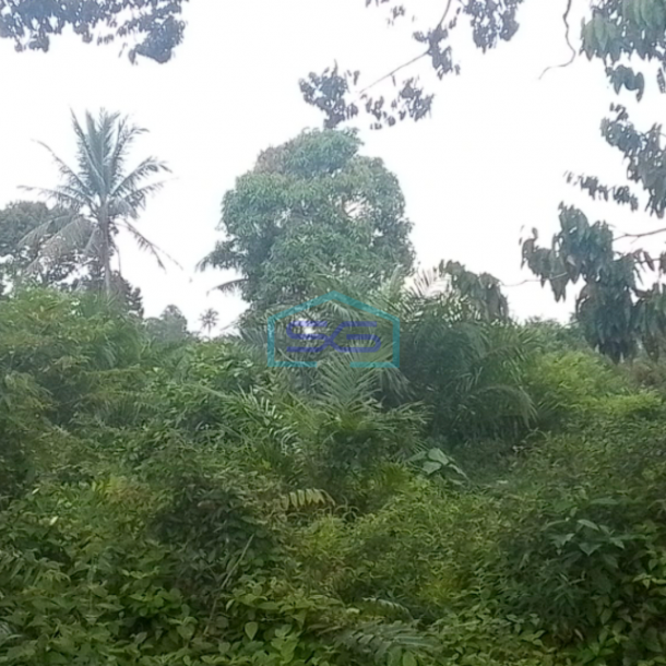 Dijual Tanah Siap Bangun di Sei Selincah Palembang Luas Tanah 24224m2-1