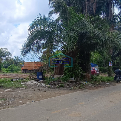 Dijual Tanah Siap Bangun di Jalur Emas Bisnis Palembang Betung KM 14 Banyuasin Luas 12775m2