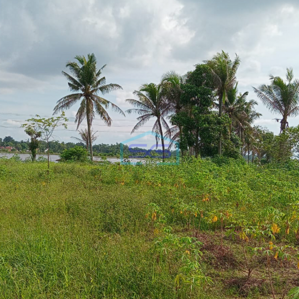 Dijual Cepat Tanah Super Strategis di Talang Putri Plaju Palembang  Luas 4071m2-3