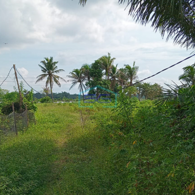 Dijual Cepat Tanah Super Strategis di Talang Putri Plaju Palembang  Luas 4071m2