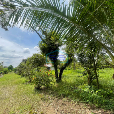 Dijual Cepat Tanah Strategis Siap Pakai di Jalan Mayor Zen Pusri Palembang LT 14521m2