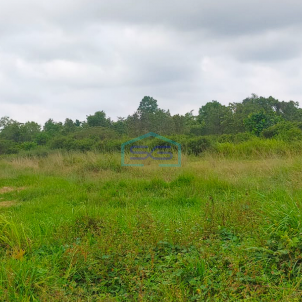 Dijual Tanah Siap Bangun di Kenten Laut Banyuasin Sumatera Selatan LT 25000m2-1