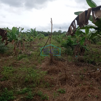 Dijual Tanah di Jalan Tanjung Api-Api Banyuasin Lokasi Strategis LT 22050m2