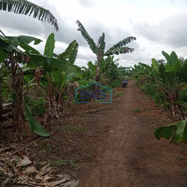 Dijual Tanah di Jalan Tanjung Api-Api Banyuasin Lokasi Strategis LT 22050m2-1