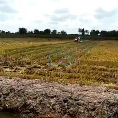 Dijual Tanah Luas 28 Ha di Jalan Musi Palembang