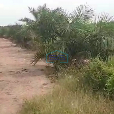 Dijual Tanah Luas 28 Ha di Jalan Musi Palembang