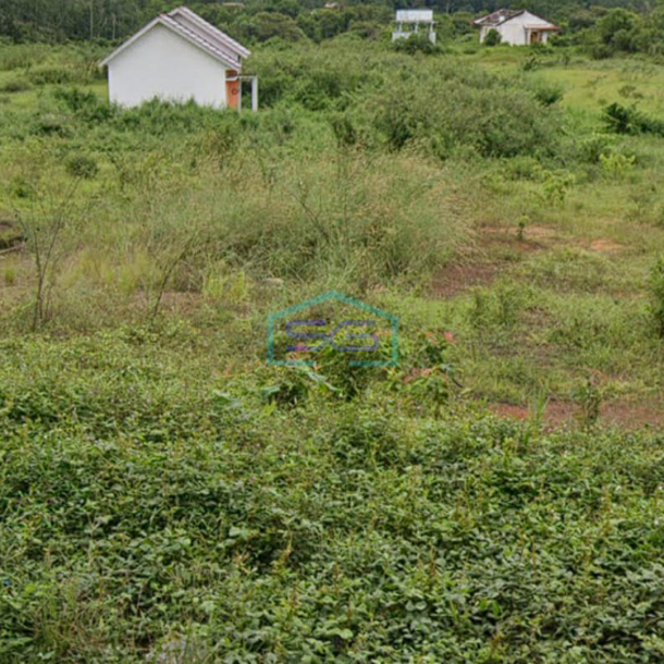 Dijual Tanah Strategis di Pinggir Jalan Simpang Rambutan, Banyuasin Sumatera Selatan LT 60000m2-1