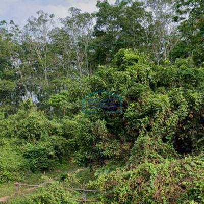 Dijual Tanah Strategis di Pinggir Jalan Raya Lingkis Rambutan Sumatera Selatan LT 4000m2