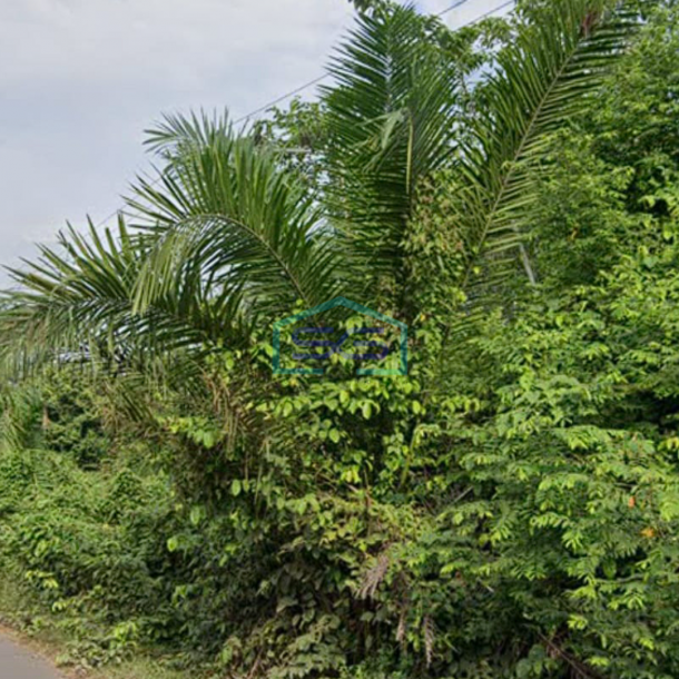 Dijual Tanah Strategis di Pinggir Jalan Raya Lingkis Rambutan Sumatera Selatan LT 4000m2-1