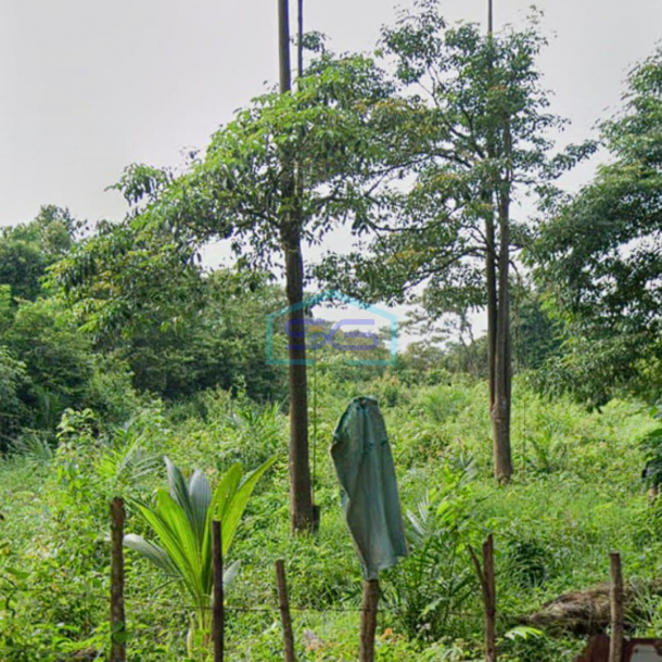 Dijual Tanah Strategis Siap Bangun di Pinggir Jalan Raya Lingkis Rambutan, Jejawi Sumatera Selatan Luas 20000m2-2