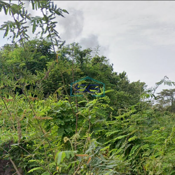 Dijual Tanah Strategis Siap Bangun di Pinggir Jalan Raya Lingkis Rambutan, Jejawi Sumatera Selatan Luas 20000m2-1