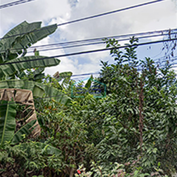 Dijual Tanah di Sukamaju KM 7 Palembang Luas Tanah 1541m2-1