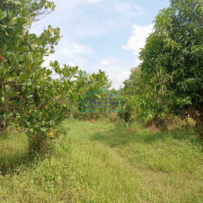 Dijual Tanah Siap Bangun di Talang Keramat Palembang Luas 2500m2