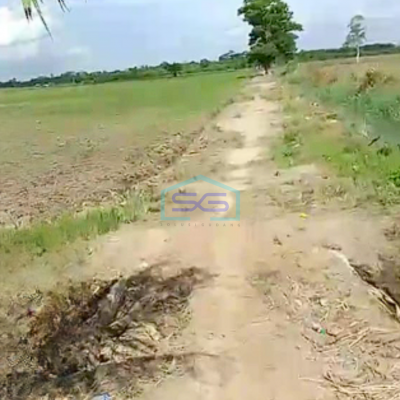 Dijual Tanah Luas 5 Hektar di Tanjung Api Api Palembang