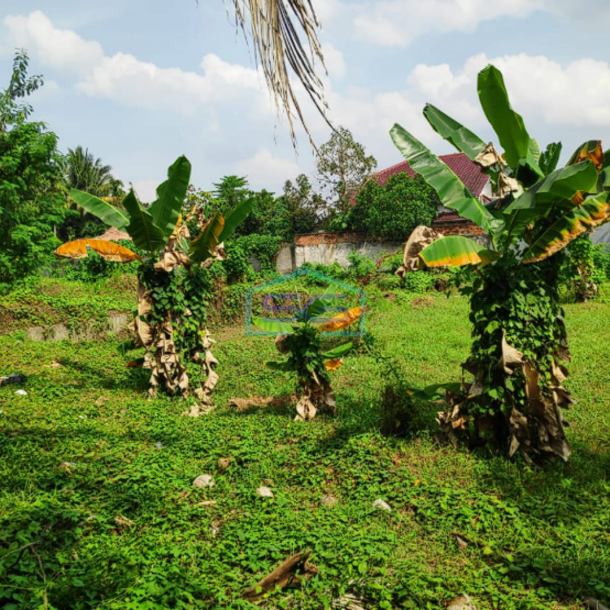 Dijual Cepat! Tanah 5019m² di Lokasi Premium Jalan Pusri Sukamaju! Kota Palembang-3