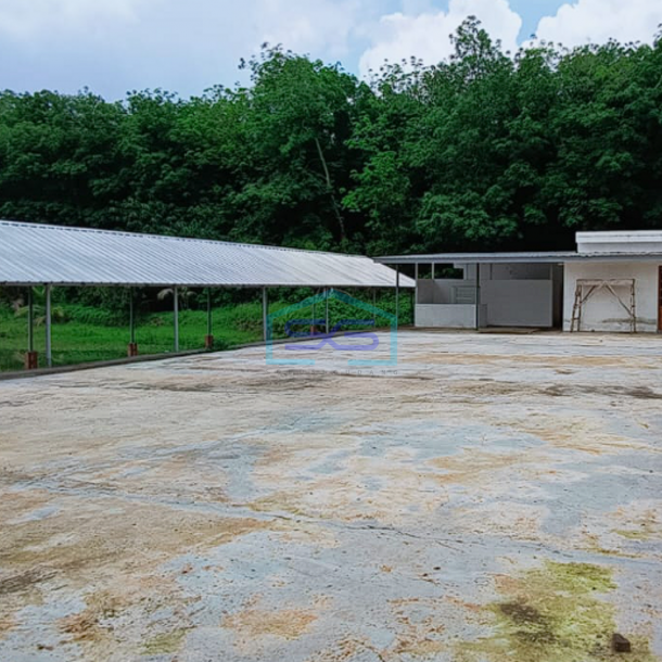 Dijual Properti Komersial Eksklusif Gedung di Jalan Pangkalan Benteng Banyuasin Sumatera Selatan LT 17000m2-2