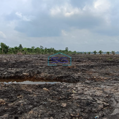 Dijual Lahan Tanah Luas Eks Kebun Sawit di Pangkalan Benteng Banyuasin Sumatera Selatan LT 16000m2