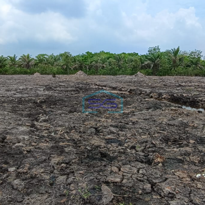 Dijual Lahan Tanah Luas Eks Kebun Sawit di Pangkalan Benteng Banyuasin Sumatera Selatan LT 16000m2