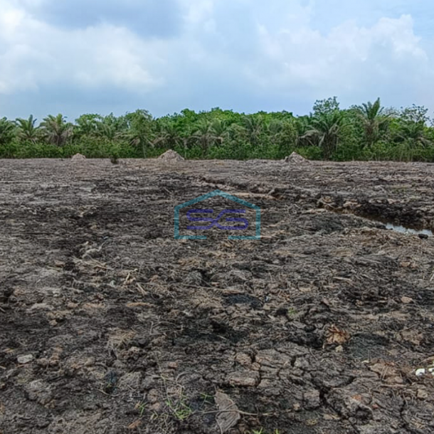 Dijual Lahan Tanah Luas Eks Kebun Sawit di Pangkalan Benteng Banyuasin Sumatera Selatan LT 16000m2-1