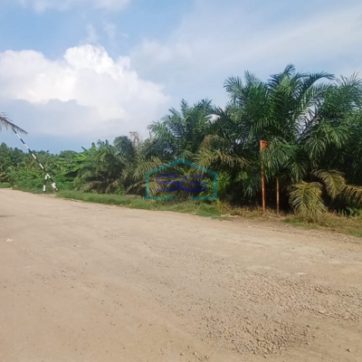 Dijual Tanah di Dekat Jembatan Gasing, Tanjung Api-Api Banyuasin Sumatera Selatan Strategis LT 68000m2