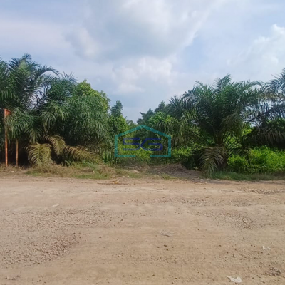 Dijual Tanah di Dekat Jembatan Gasing, Tanjung Api-Api Banyuasin Sumatera Selatan Strategis LT 68000m2