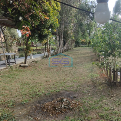 Dijual Tanah Lokasi di Kec Alang Alang Lebar Kota Palembang Luas 5000m2