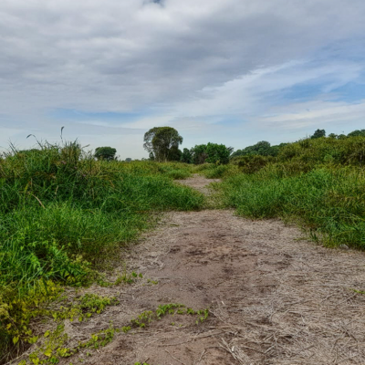 Dijual Tanah Super Luas 2 Hektar di Jakabaring Palembang